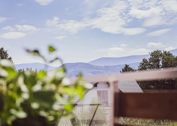 W Cieplicach Platinium Jelenia Góra